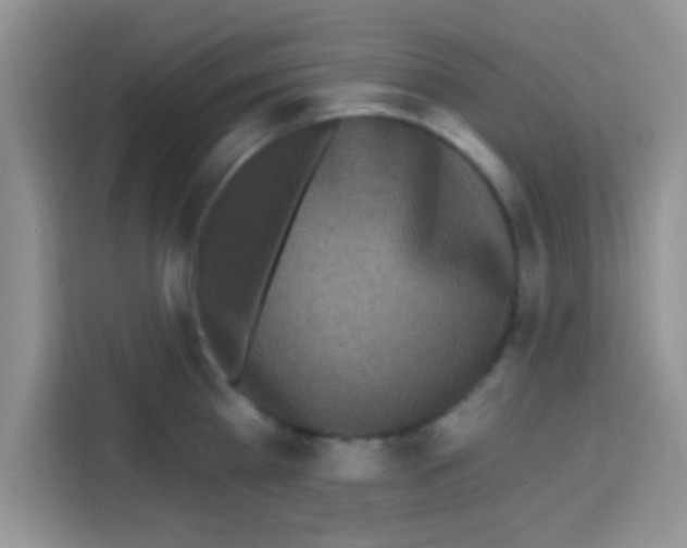 X0000113020809200910081158