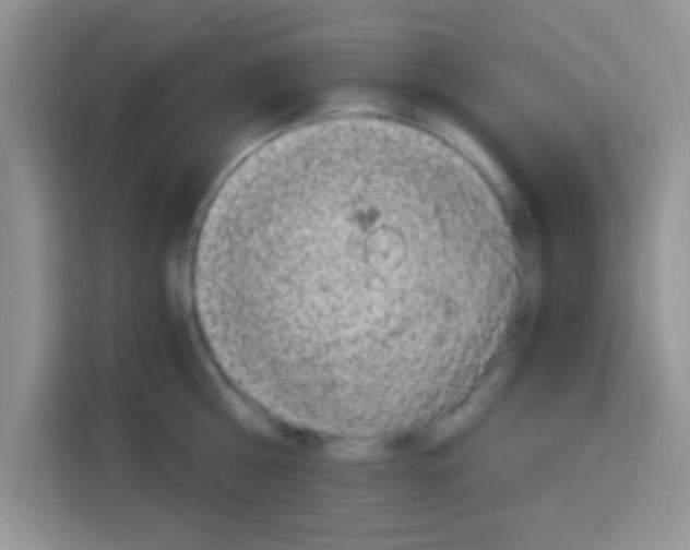 X0000113020810200910081158