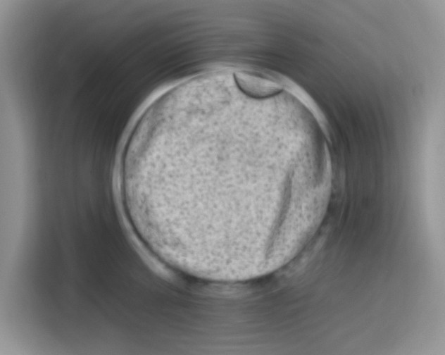 X0000113020811200910081158