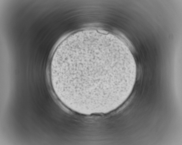 X0000113020812200910081158