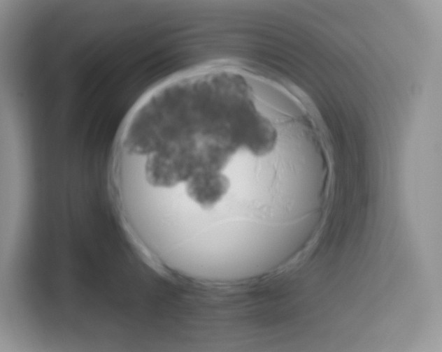 X0000113020816200910081158