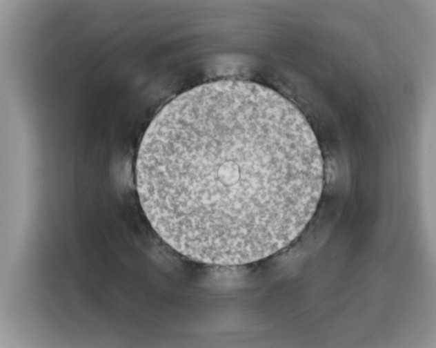 X0000113020820200910081158