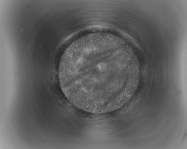 X0000113020822200910081158