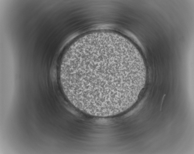 X0000113020827200910081158