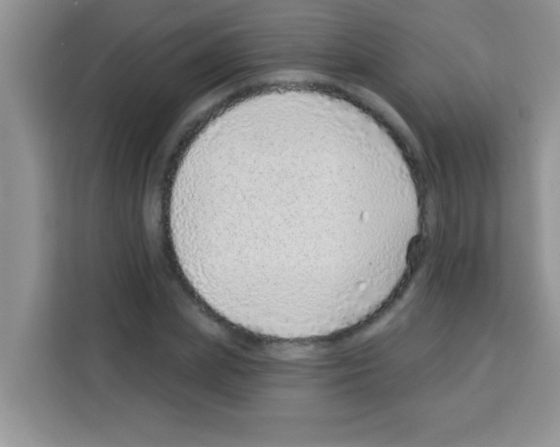 X0000113020831200910081158