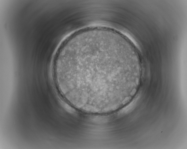 X0000113020832200910081158