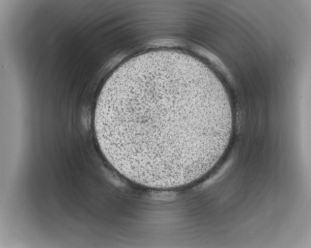 X0000113020833200910081158