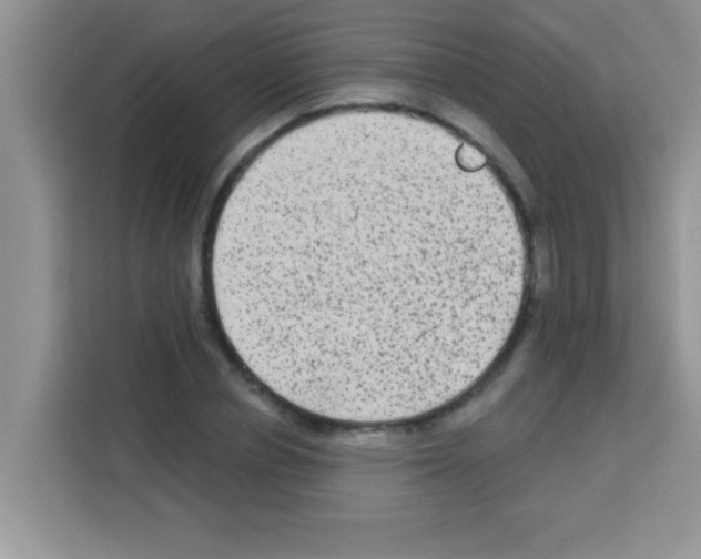 X0000113020834200910081158