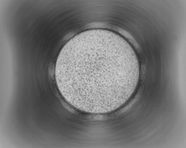 X0000113020841200910081158