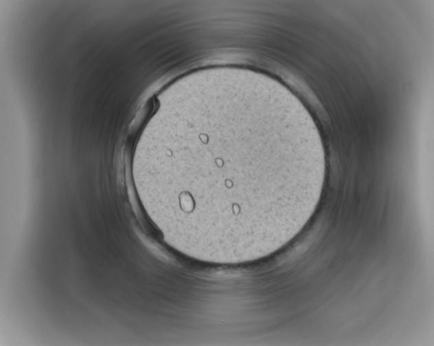 X0000113020842200910081158