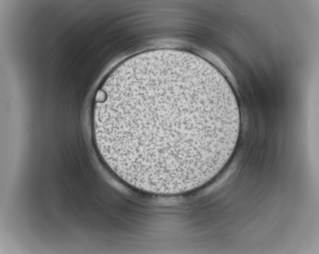 X0000113020843200910081158