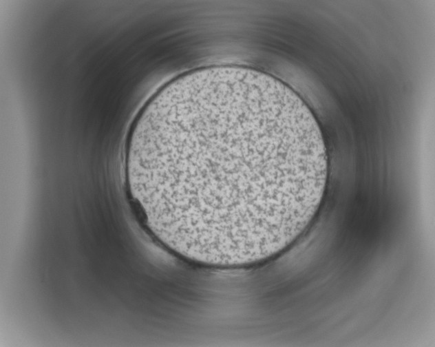 X0000113020844200910081158