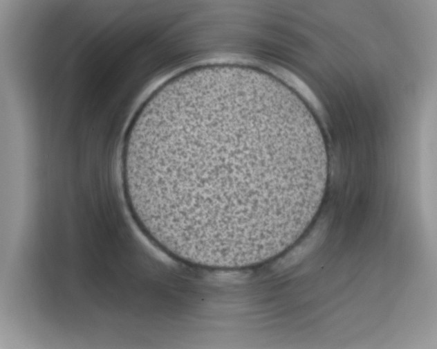 X0000113020847200910081158