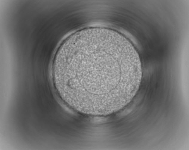 X0000113020848200910081158