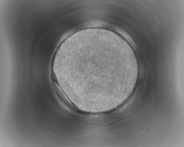 X0000113020850200910081158