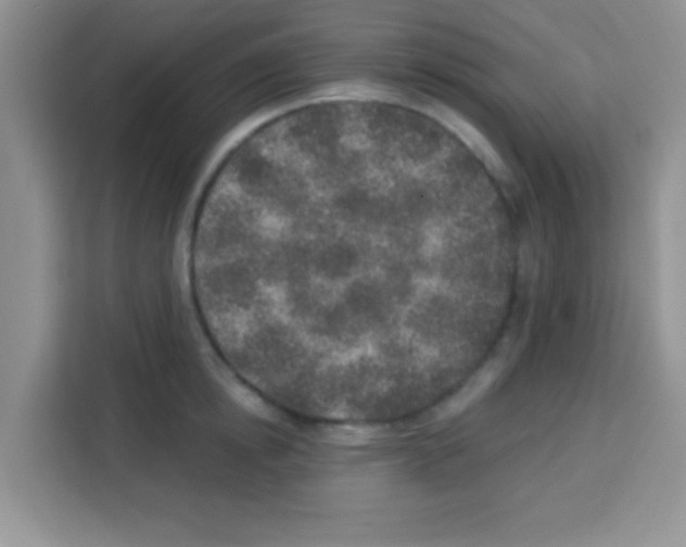 X0000113020854200910081158