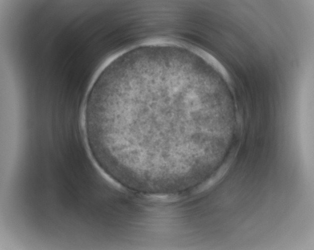 X0000113020855200910081158