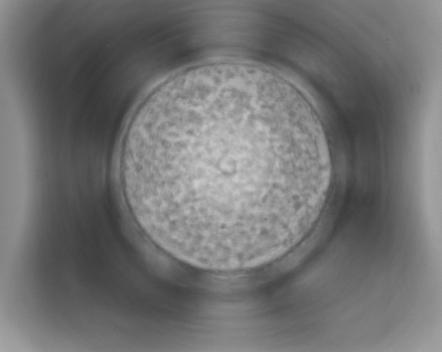 X0000113020856200910081158