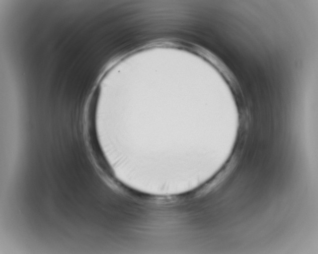 X0000113020858200910081158