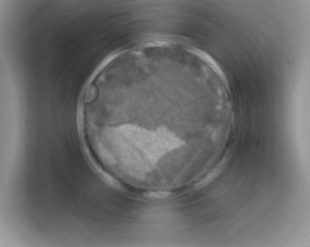 X0000113020859200910081158