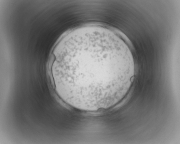 X0000113020860200910081158