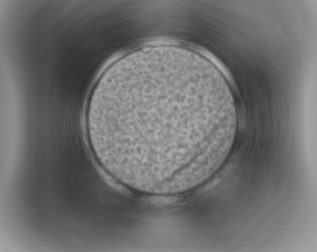 X0000113020861200910081158