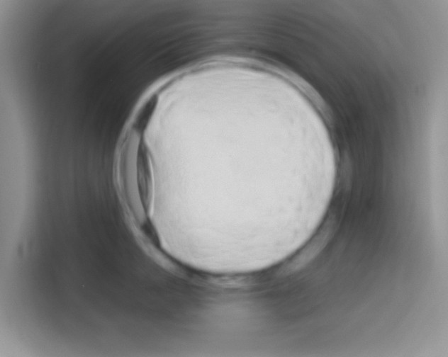 X0000113020862200910081158