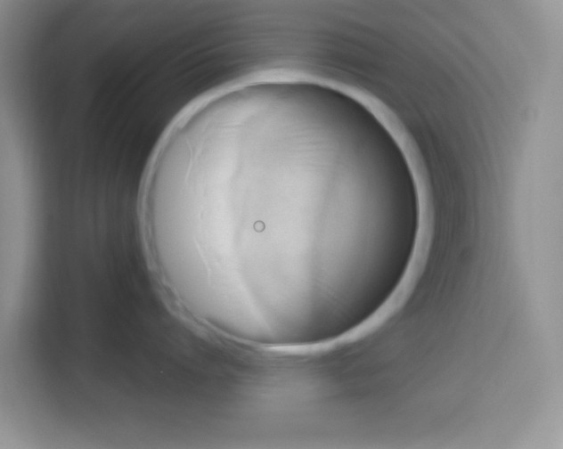 X0000113020864200910081158