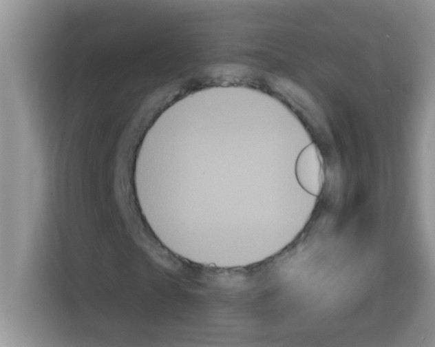 X0000113020865200910081158