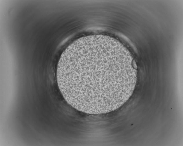 X0000113020871200910081158