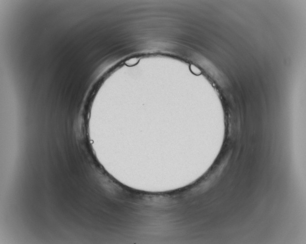 X0000113020876200910081158