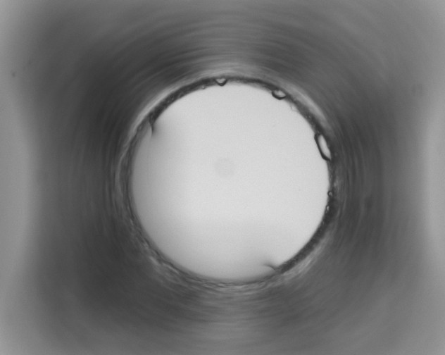 X0000113020877200910081158