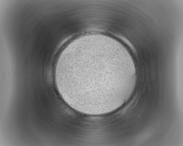 X0000113020878200910081158