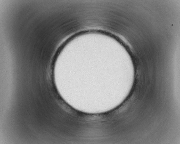 X0000113020879200910081157