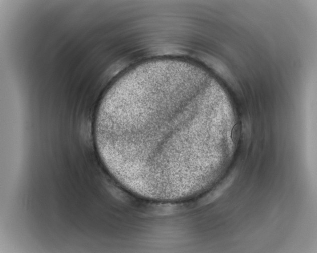 X0000113020881200910081157