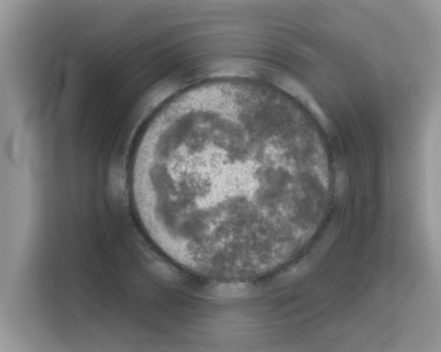 X0000113020882200910081157