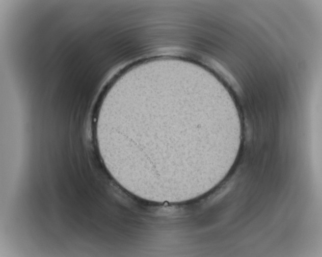 X0000113020883200910081157