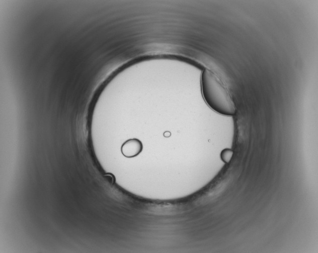 X0000113020885200910081157