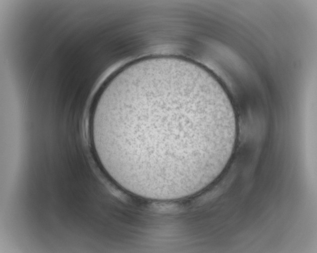 X0000113020886200910081157