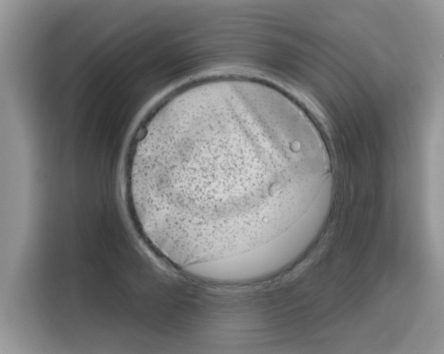 X0000113020888200910081157