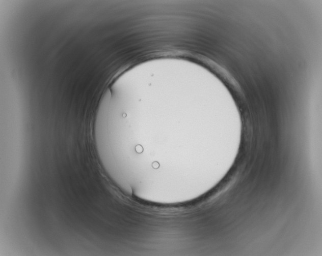 X0000113020889200910081157