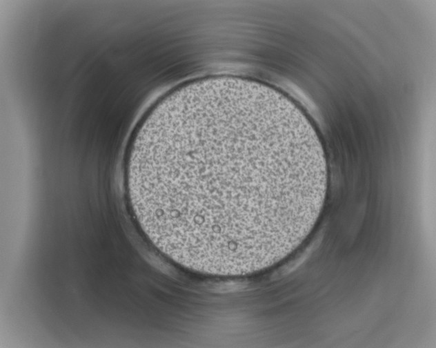 X0000113020891200910081157