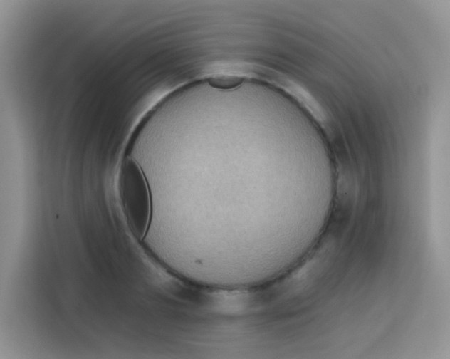 X0000113020893200910081157