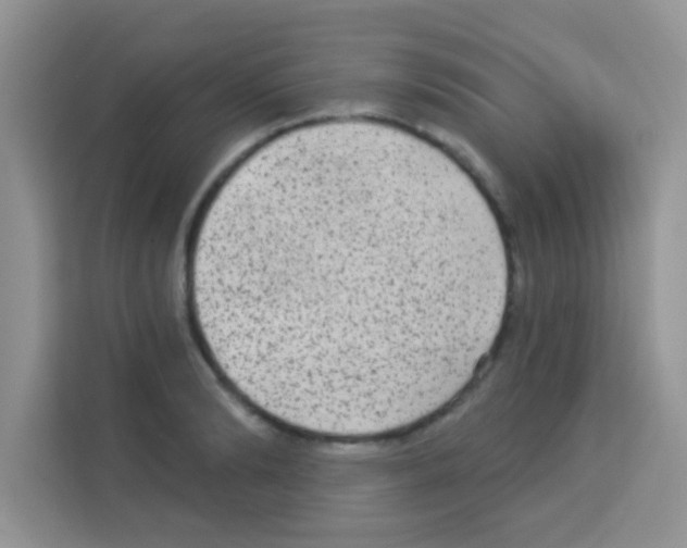 X0000113020894200910081157