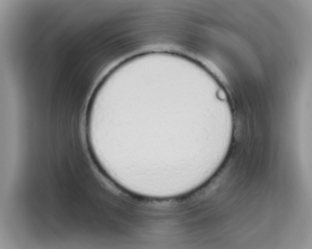 X0000113020895200910081157