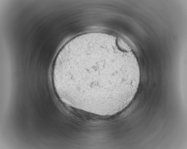 X0000113020899200910081157