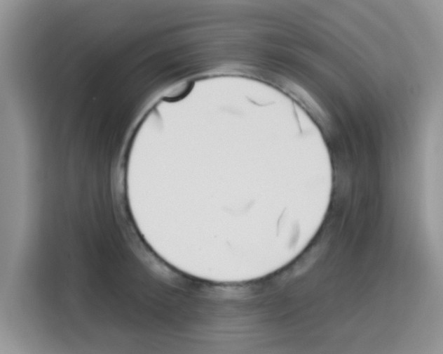 X0000113020900200910081157