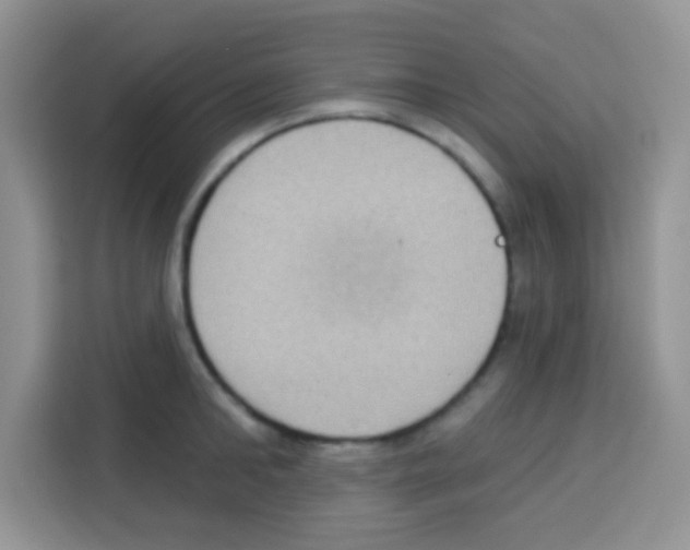 X0000113020902200910081157