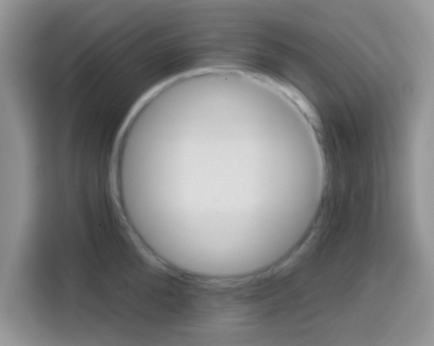 X0000113020904200910081157