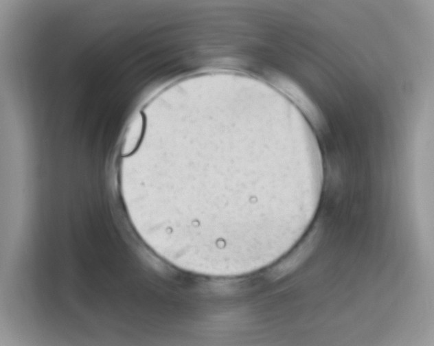 X0000113020908200910081157